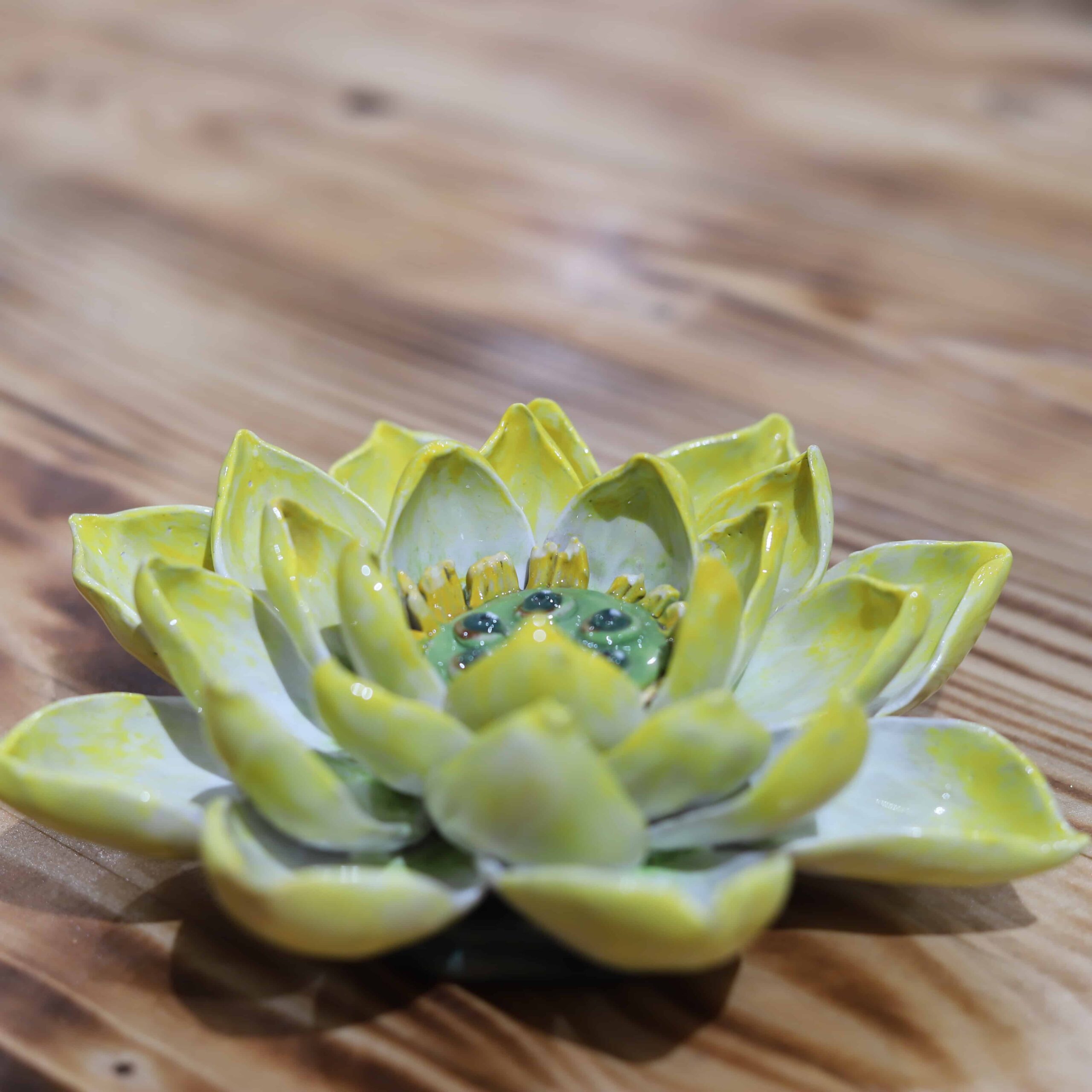 DECOR HOA SEN BÁT TRÀNG - Image 4